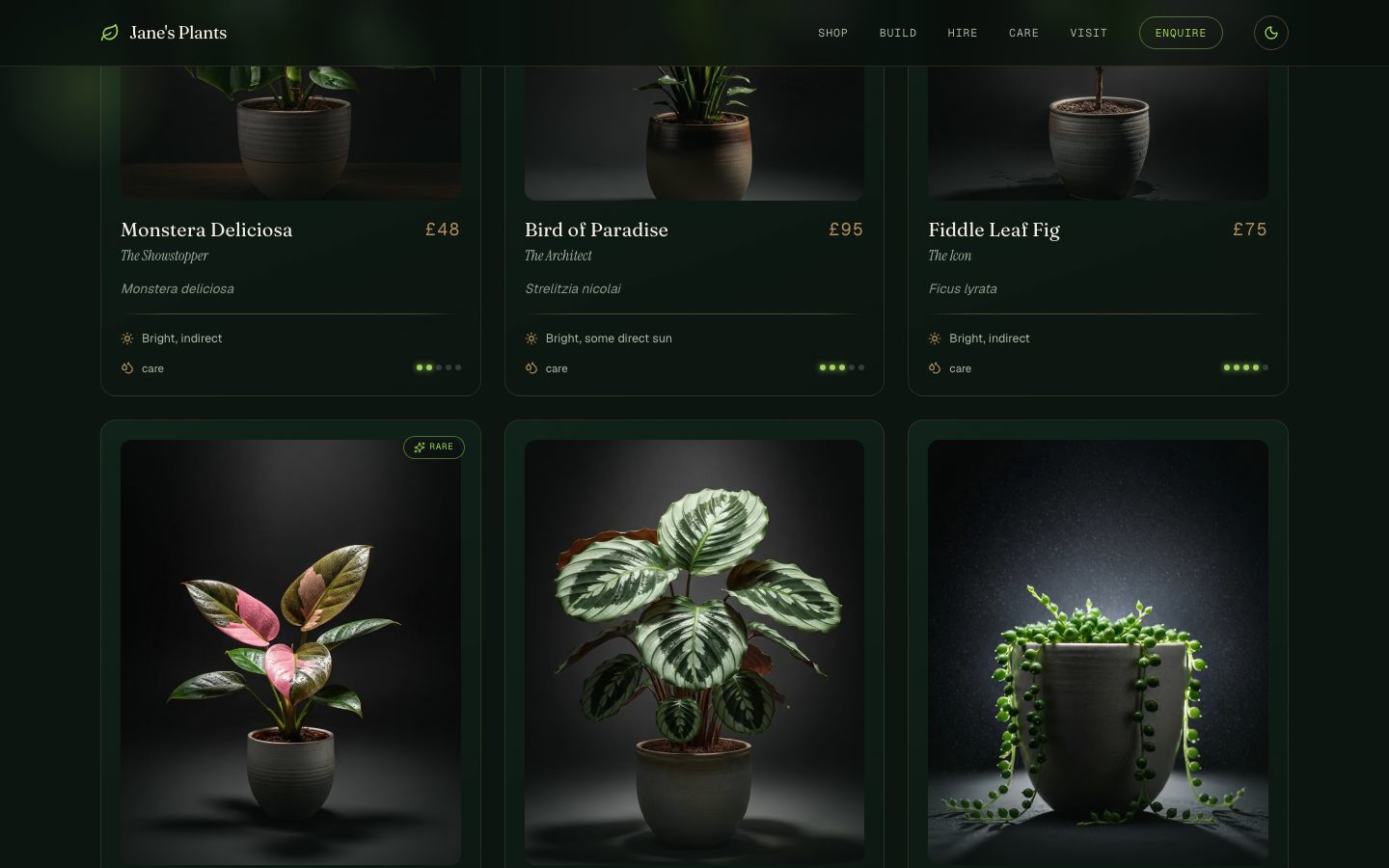 Jane's Plants, 03